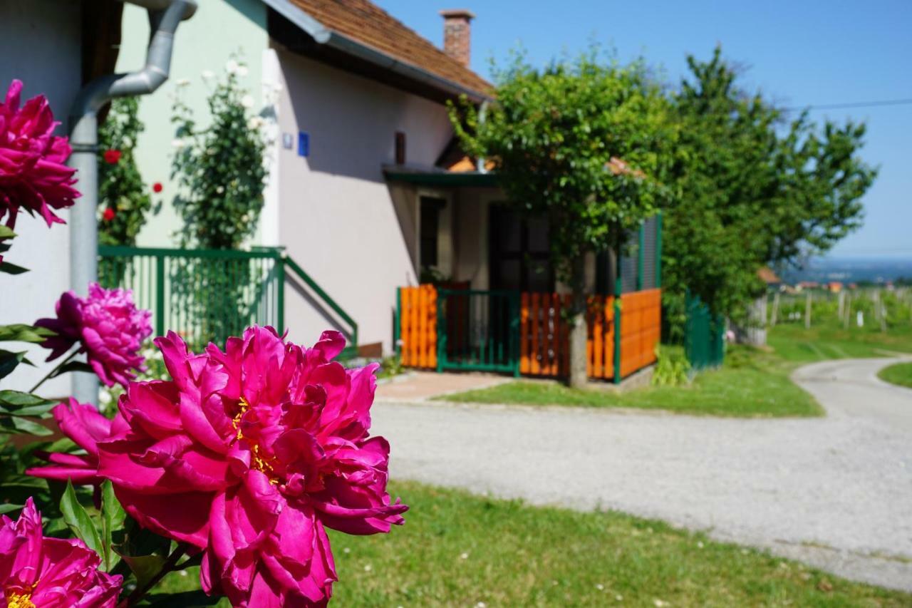 Holiday Home Maderka Strigova Экстерьер фото